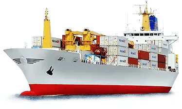 Ocean freight forwarding services
